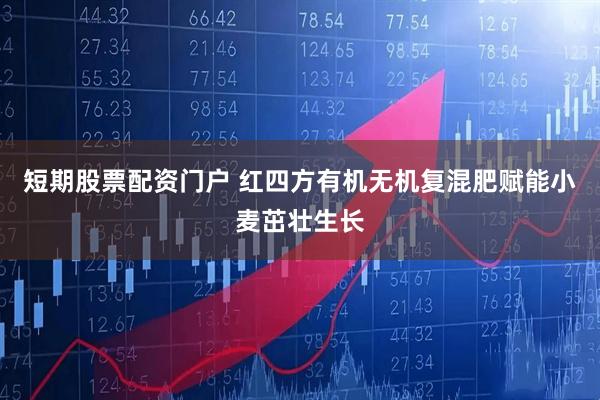短期股票配资门户 红四方有机无机复混肥赋能小麦茁壮生长
